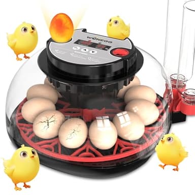 Incubateurs pour l'éclosion des œufs Incubateur d'œufs automatique avec contrôle de la température affichage de l'humidité capacité de 12 œufs pour œufs de poule canard oie affichage numérique