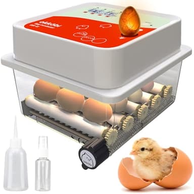 OBI-12 Incubateur d'œufs pour couver des œufs - Incubateur pour 12 œufs avec retourneur automatique - couveuse pour œufs de poule, caille et œufs de canard - Orange