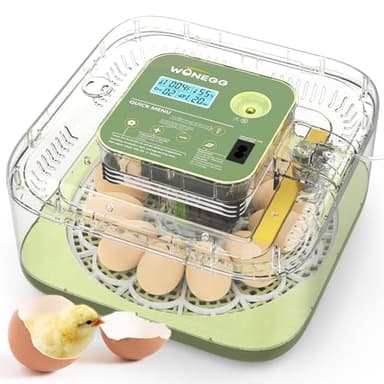 Incubateur d'œufs à 12 œufs pour éclosion d'œufs - Tourneur d'œufs à 360° - Pour poulet, canards, oies, pigeons, cailles
