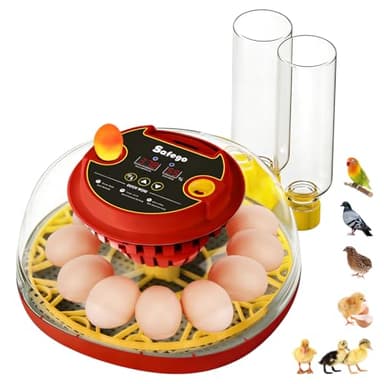Incubateurs pour éclosion d'œufs : poulet, caille, canard, oiseau, poussin, incubateur avec retourneur automatique d'œufs et affichage de l'humidité, incubateur à 360° pour perroquet et oie de dinde, 12 à 24 œufs